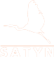 logo Satyn
